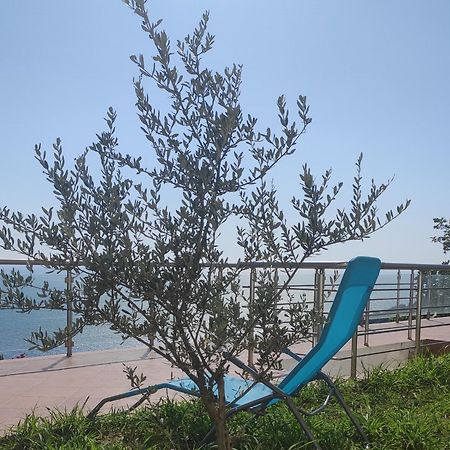 Apartment Oliva Улцин Екстериор снимка